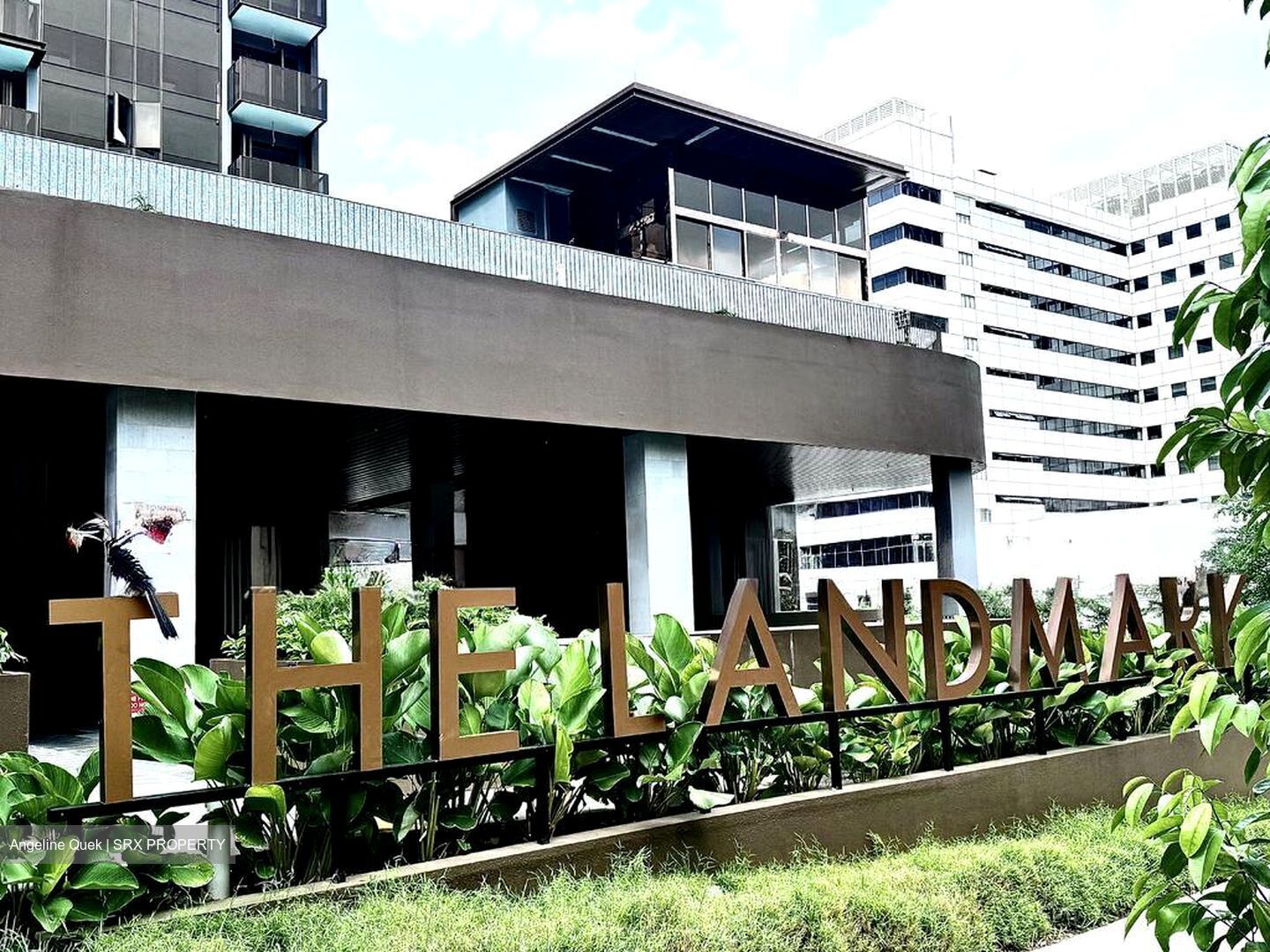 The Landmark (D3), Condominium #522098521